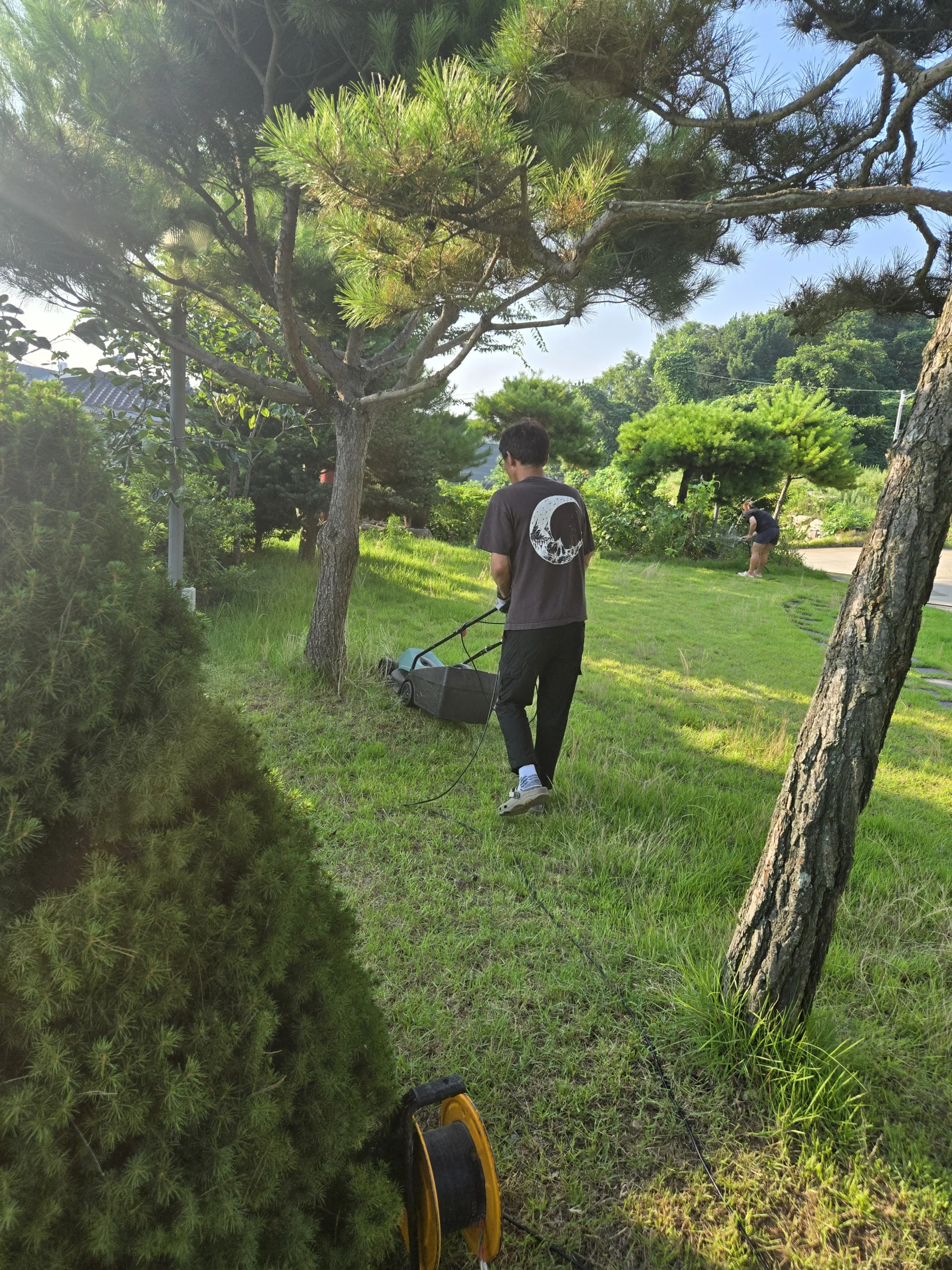 조경 잔디관리 예초 실습 관리 작업 장면